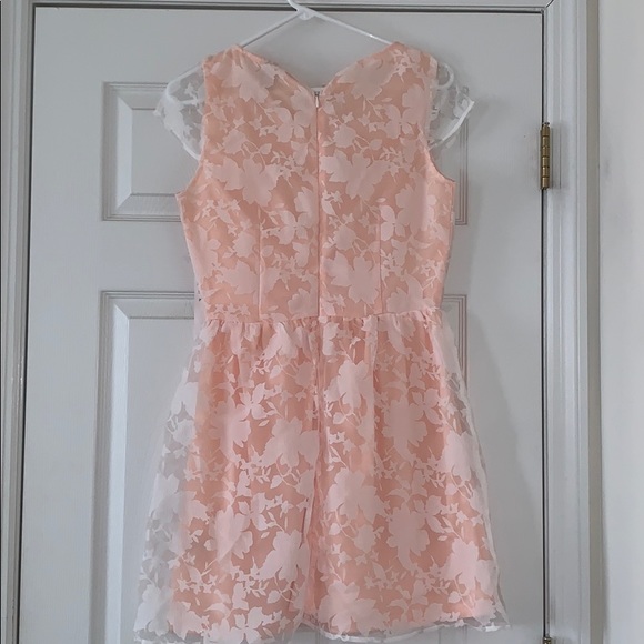 BEAUTIFUL BLUSH FIT AND FLARE - Picture 2 of 5